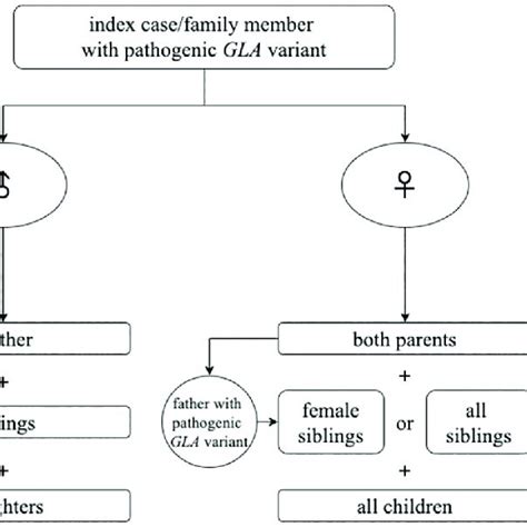 Flow Chart Of The Principle Of The Procedure Of The Cascade Screening Download Scientific