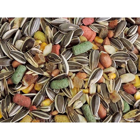 Girassol Para Papagaio - Mistura de Girassol Para Papagaio 500 G (A granel) | Shopee Brasil