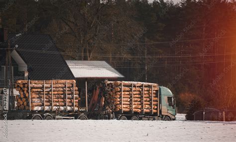 large truck with logs on the road. back view of industrial wood carrier ...