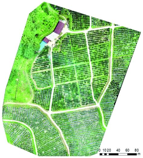 Orchard orthophoto map drawn based on UAV remote sensing image ...