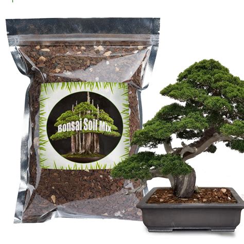 Buy Bonsai Soil Mix Ready To Use 1qt Premium Fast Draining All