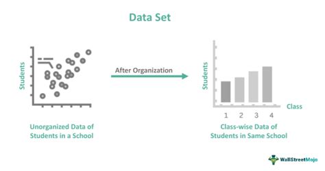 Data Set What Is It Examples Types Vs Dataframe Database