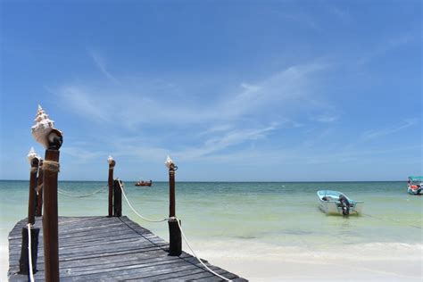 Comment Aller Isla Holbox Depuis Playa Del Carmen Ou Canc N