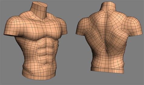 Topology Apprendimento Studio