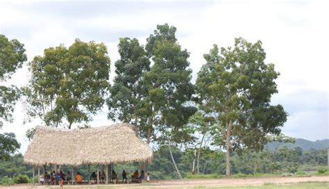 Desmatamento em áreas protegidas da Amazônia cai quase quatro vezes no