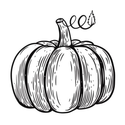 Pumpkin Outline PNGs for Free Download