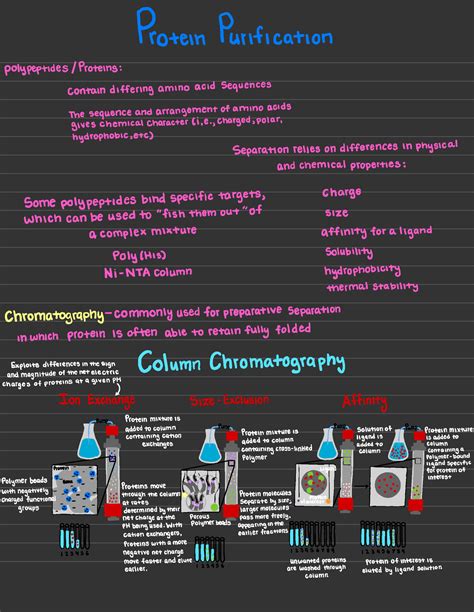 Module 2 Lesson 3 Protein Analytical Techniques - Protein Purification polypeptides / Proteins ...