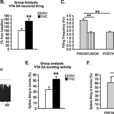 Effects Of Intra Mpfc Mus On Adolescent Thc Induced Behavioral