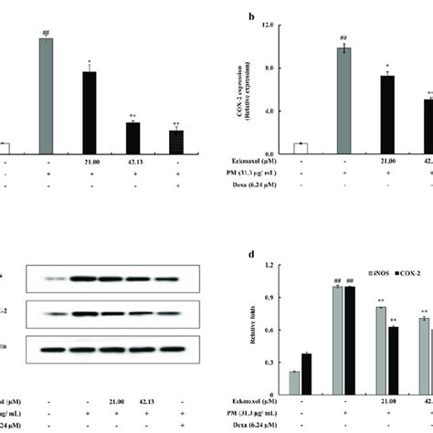 Inflammation Associated Protein And Gene Expression Of Inos And Cox