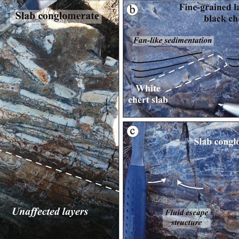 Comparison Of Black And White Chert Trace Element Composition Elements