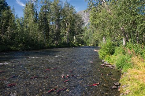 Russian River Ak Campground Map