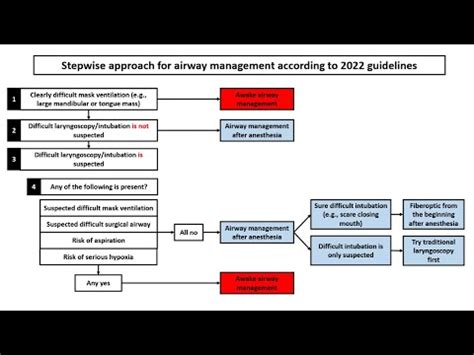 Decision Making In Airway Management Simplified Approach According To