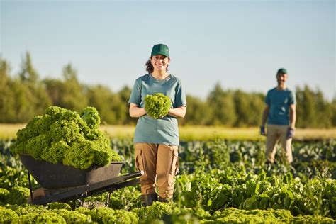 Dia Internacional De Luta Dos Trabalhadores Do Campo Data Celebra E