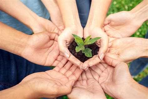 Voluntariado J Venes Voluntarios Al Aire Libre Juntamente Con Las Manos