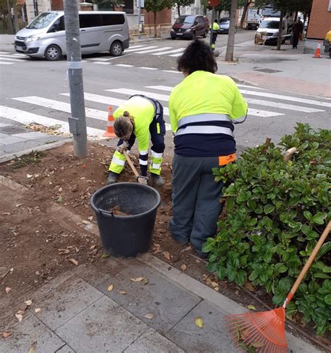 Comienzan trabajos de jardinería destinados la mejora de las zonas