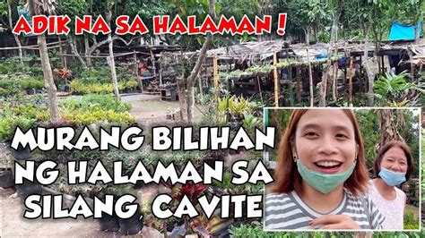 MURANG BILIHAN NG HALAMAN SA IBA SILANG CAVITE PLANT SHOPPING