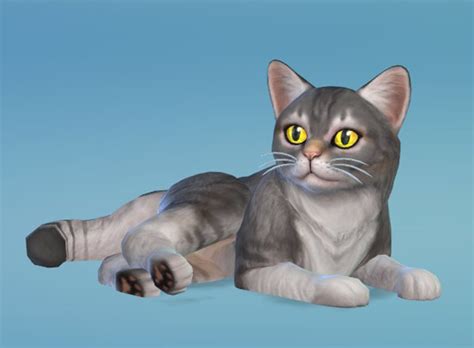 Sims 4 cats and dogs cc recolors - jescouture