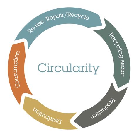 Circularity In The Beauty And Wellness Industry Pact Collective