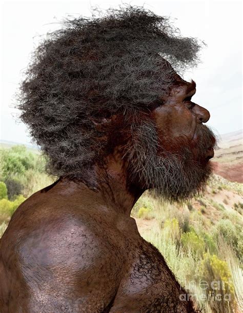 Homo Sapiens Jebel Irhoud Photograph By John Bavaro Fine Art Science