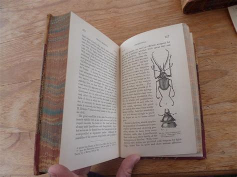 The Descent Of Man And Selection In Relation To Sex De Darwin Charles Very Good Hardback