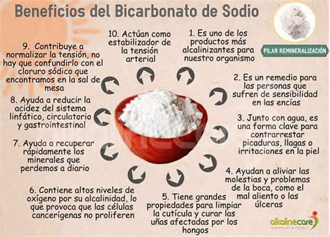 Quantos Tipos De Bicarbonato Existe - ¿Cuántos tipos de bicarbonato de sodio? | Como Cocinar y Comer