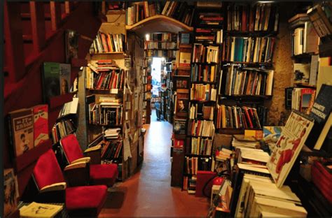 The most beautiful bookshops in Paris, to feel a little Parisian