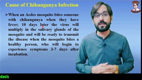 Chikungunya Cause Symptoms Diagnosis Treatment YouTube