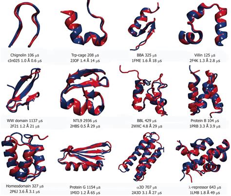 Protein Dynamics Via Computational Microscope