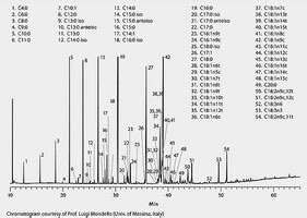 Gc Analysis Of Fames In Goat Milk On Slb Il Suitable For Gc Sigma