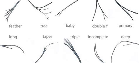 split end types, hair split ends, most common types of split ends