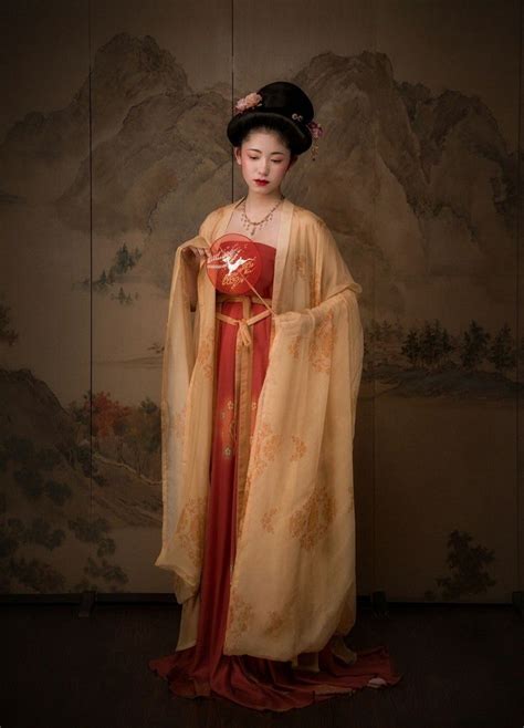 Hanfu China Tang Dynasty Chinese Traditional Clothing Hanfu