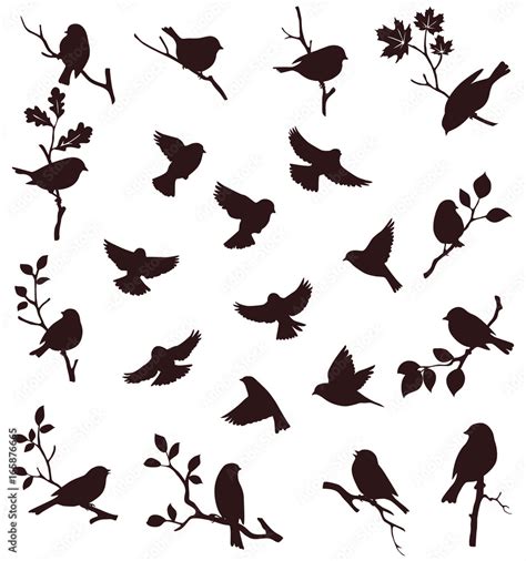 Vector Set Of Bird And Twig Silhouette Stock Vector Adobe Stock