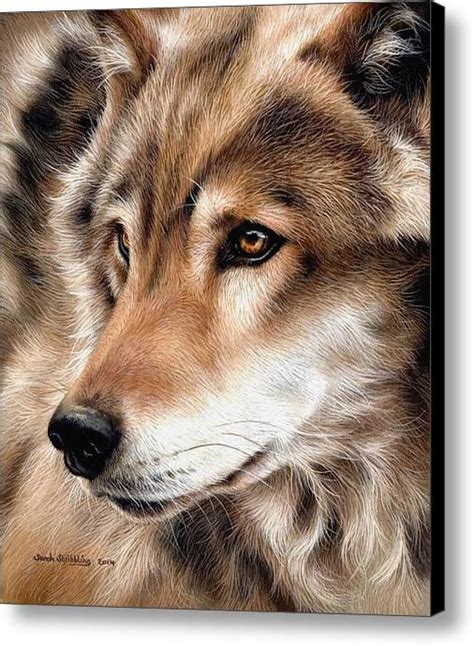 Grey Wolf Canvas Print Canvas Art By Sarah Stribbling In Wolf