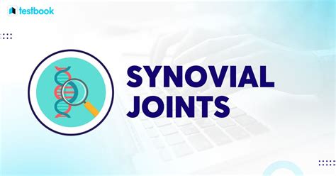 Understanding Synovial Joints Types Structure And Functions