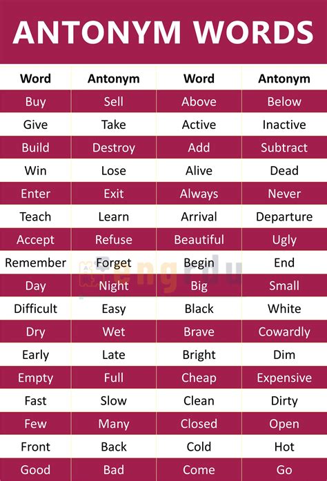 important antonyms  english  examples engrdu