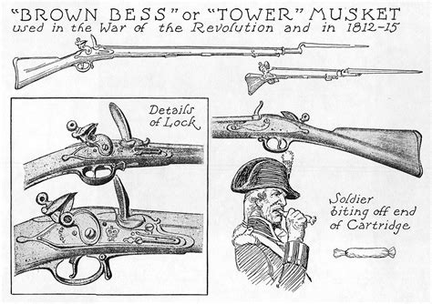 Brown Bess Or Tower Musket