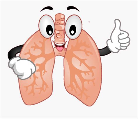 cartoon lungs clipart 10 free Cliparts | Download images on Clipground 2024