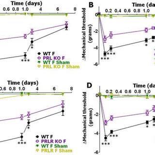 Incision Induced Mechanical Allodynia In WT PRL KO And PRL R KO Female