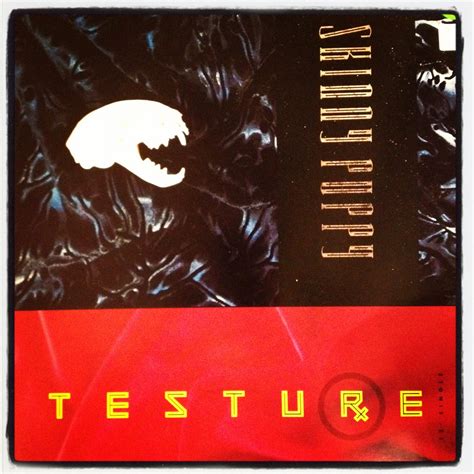 We Have One of THE BEST Vinyl stores in Dallas | DOLLY PYTHON