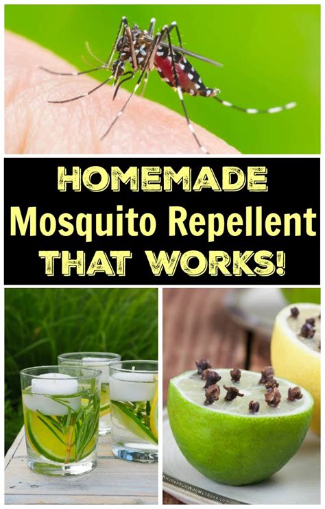 How To Make Natural Homemade Mosquito Repellent With Only 5 Ingredients Mosquito Repellent