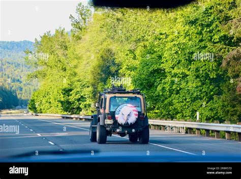 Jeep Wrangler Suv With A Patriotic Stars And Stripes And Bald Headed