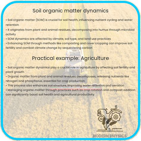 Soil Organic Matter Dynamics | Key Roles & Impact in Agri Physics
