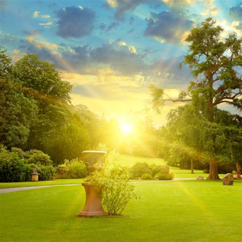 22200 Heaven Garden Stock Photos Pictures And Royalty Free Images Istock