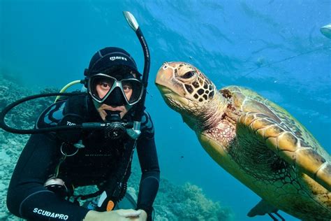 Cairns Great Barrier Reef Tours Non Swimmers Families Pontoon