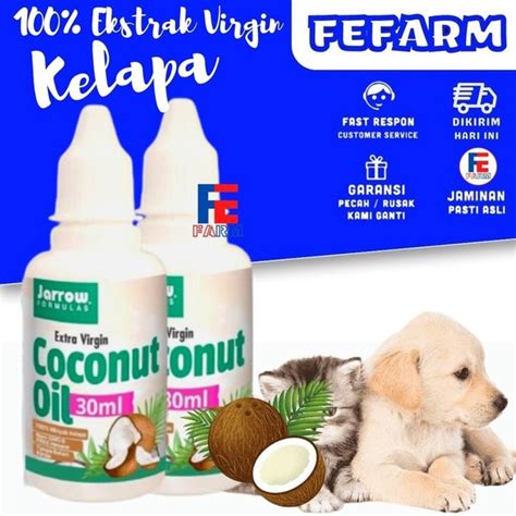 Jual Virgin Coconut Oil Ml Minyak Kelapa Murni Vco Murni Obat Jamur