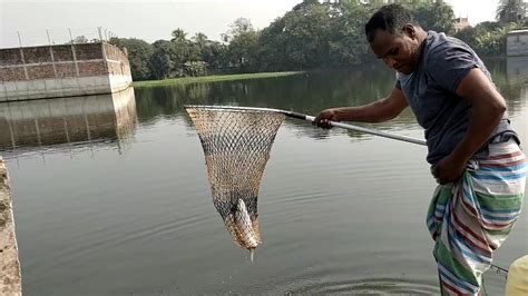 Rohu Fish Hunting Amazing Fishing Video By Angling Rohu Fishing By