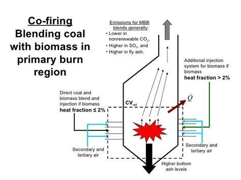 Presentation Coal And Biomass Combustion