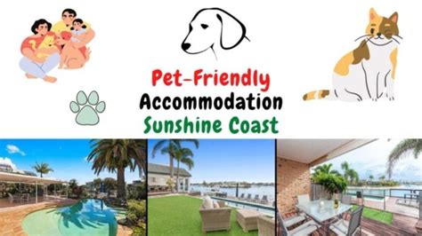 10 Best Pet-Friendly Accommodations on the Sunshine Coast