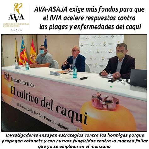 AVA ASAJA EXIGE MÁS FONDOS PARA QUE EL IVIA ACELERE RESPUESTAS CONTRA