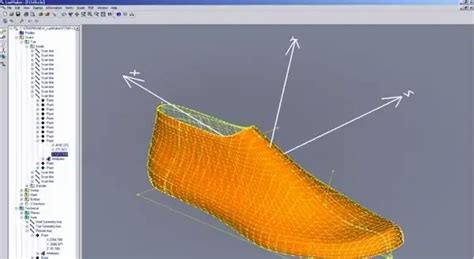 Shoe Last Design Principles Unveiled